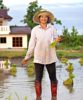 farmers in the isaan, the north east of thailand