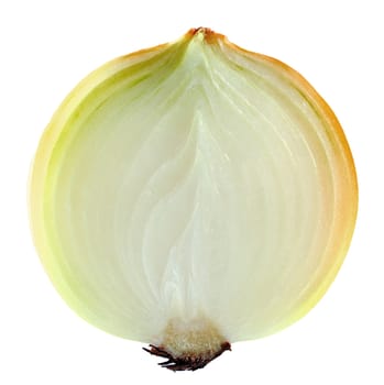  sliced  onion on white background