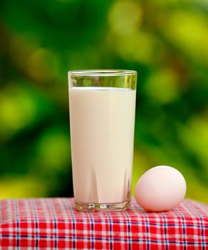 Glass of milk and egg on nature background