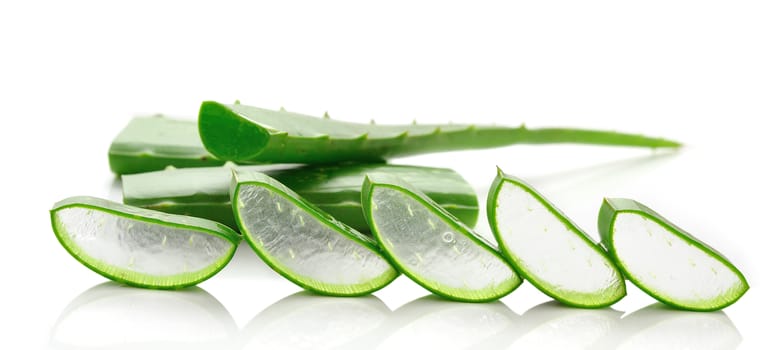 aloe vera fresh leaf. isolated over white