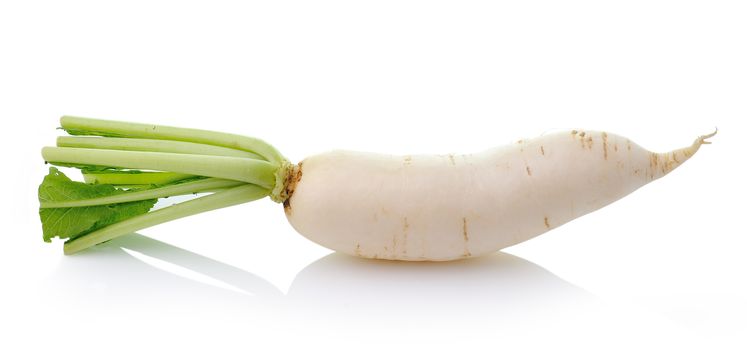 Daikon radishes isolated on white background