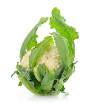 single whole cauliflower isolated on white background