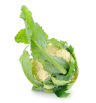 single whole cauliflower isolated on white background