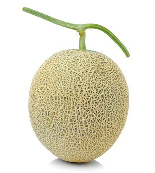 cantaloupe melon