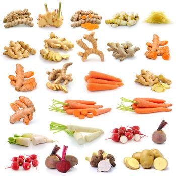 Turmeric, ginger, carrots, radish, beetroot, potato, taro root isolated on white background