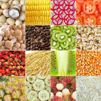 Macadamia nuts, tomatoes, mushrooms, coffee, corn, dragon fruit, kiwi, strawberry, pineapple, banana, rambutan, rice background