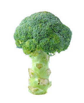 Fresh broccoli isolated on white background