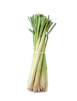 lemongrass isoleted on white background