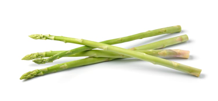 asparagus on white background