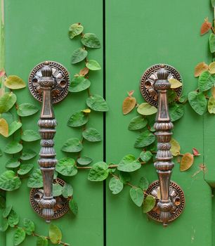 Door handle on green wooden door