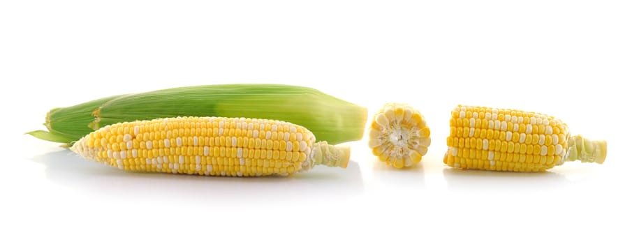 corn on a white background