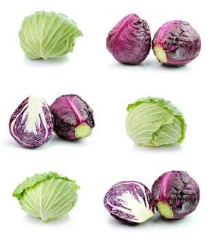 Cabbage isolated on white background