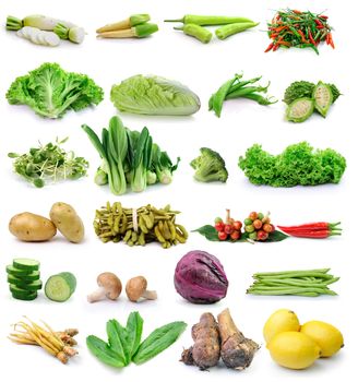 set of vegetable on white background