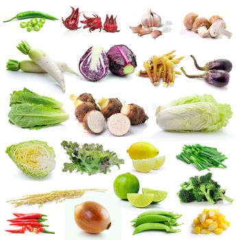 set of vegetable on white background