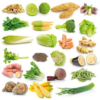 set of vegetable on white background