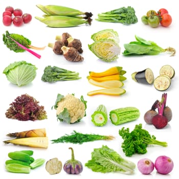 set of vegetable on white background