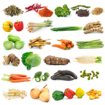 set of vegetable on white background