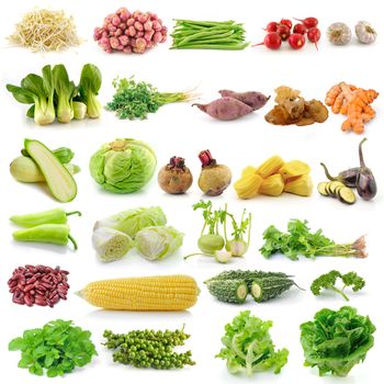 set of vegetable on white background 