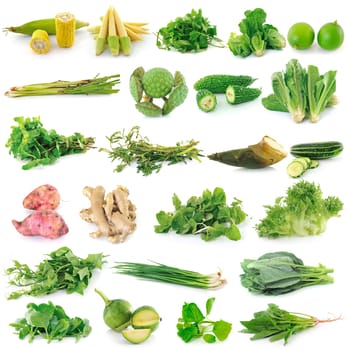 fresh vegetable on white background