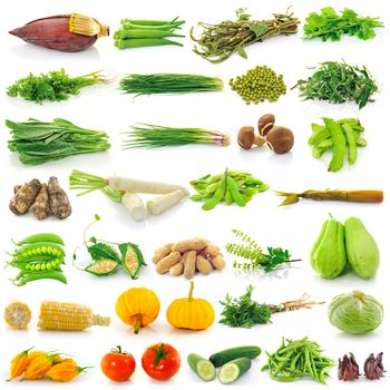 vegetable on white background 