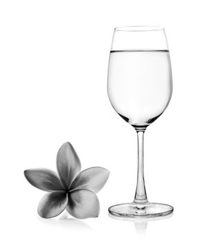 Glass of water and black and white Tropical flowers frangipani (plumeria)