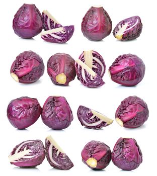  set of red cabbage on white background