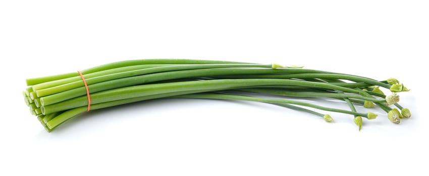 onion flowers isolated on white background