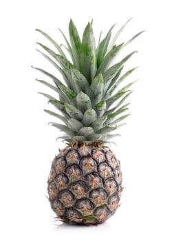 pineapple on white background