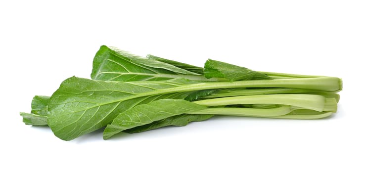 Chinese Flowering cabbage on white background