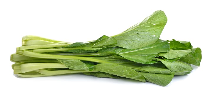 Chinese Flowering cabbage on white background