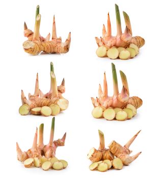 set of galangal on white background