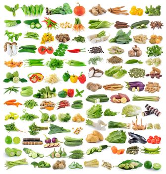 set of vegetable isolated on white background