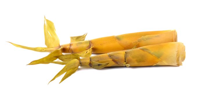 Bamboo shoot isolated on a white background