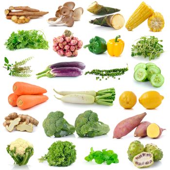 set of vegetable isolated on white background