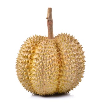 durian fruit isolated on a white background