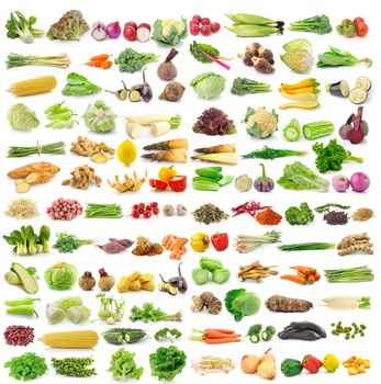 set of vegetable on white background