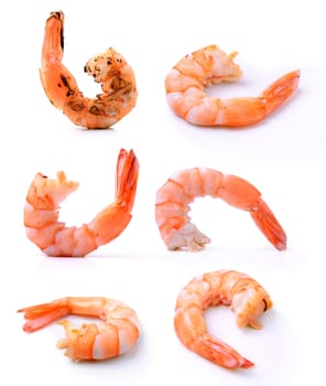 shrimps on a white background