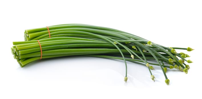 Green Onion on white background