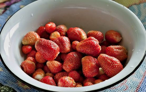 large red fragrant garden strawberry in a plate