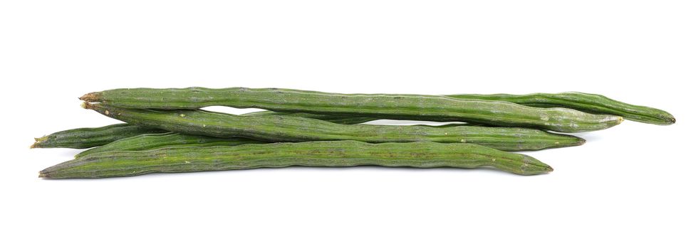 moringa isolated on a white background