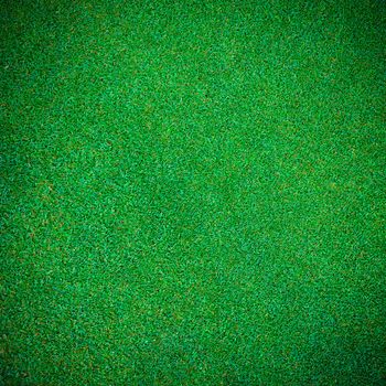 green grass texture for background