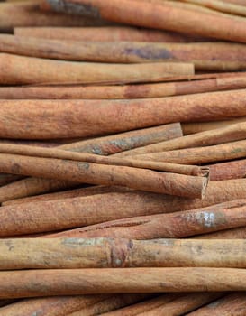 Cinnamon sticks 