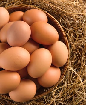  egg in a basket on the dried grass