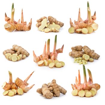 galangal and white turmeric on white background