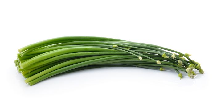 onion flowers isolated on white background