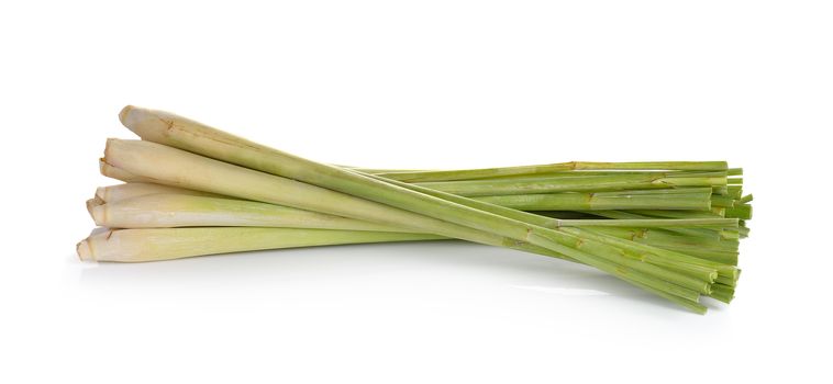 lemon grass on white background