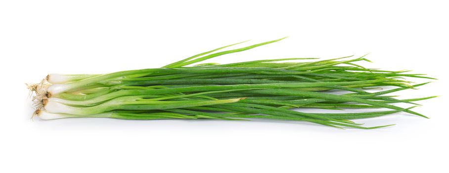 Green onion isolated on the white background