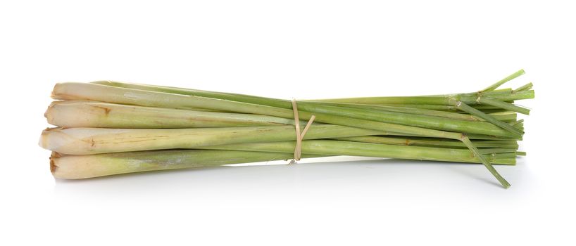 lemon grass on white background