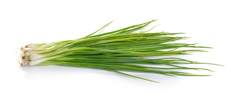 Green onion isolated on the white background