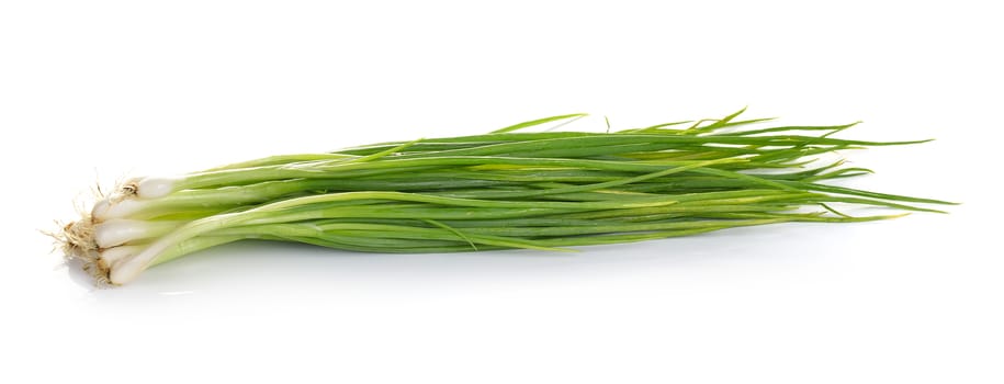 Green onion isolated on the white background